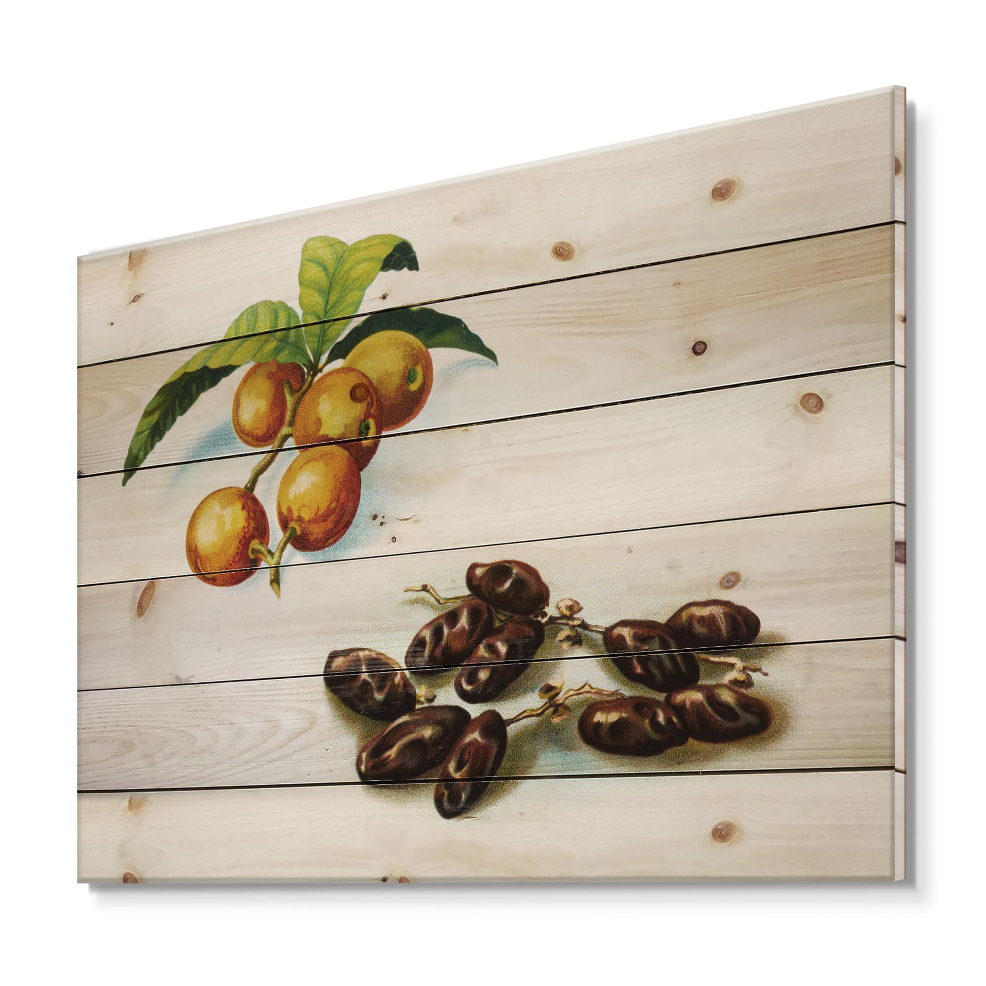 Designart - Vintage Fruits IV